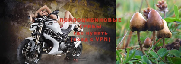 a pvp Верхний Тагил