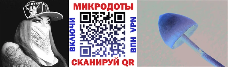 Псилоцибиновые грибы Cubensis  Купить  Нижняя Тура 